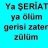Yasir 1
