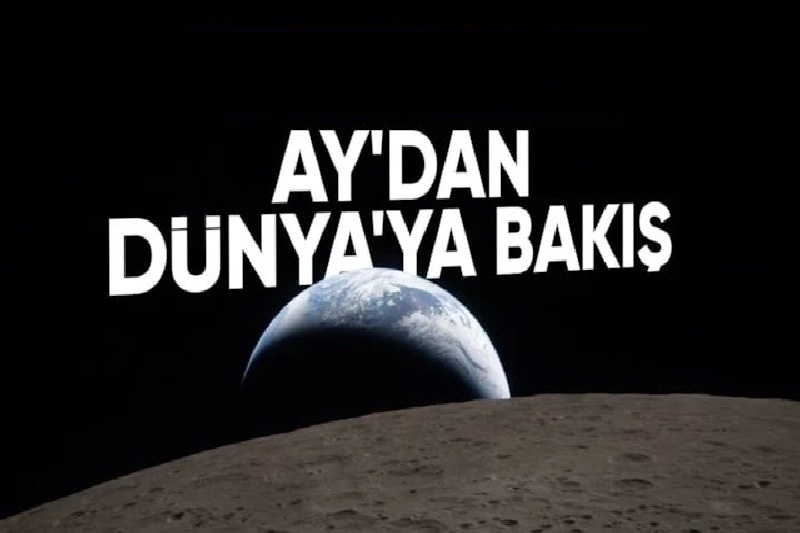 ay 4.jpg