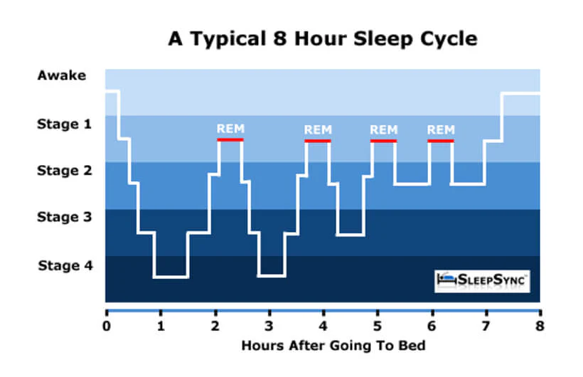 CL_Journal_Content_Difference_between_REM_and_non-REM_sleep_02_820x530_1456d09f-23a9-4c26-97fb...png