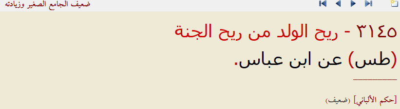 elbani zayıful cami.png