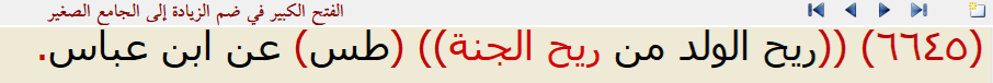 fethul kebir fi dammiz ziyadeti ilal camius sağir.png
