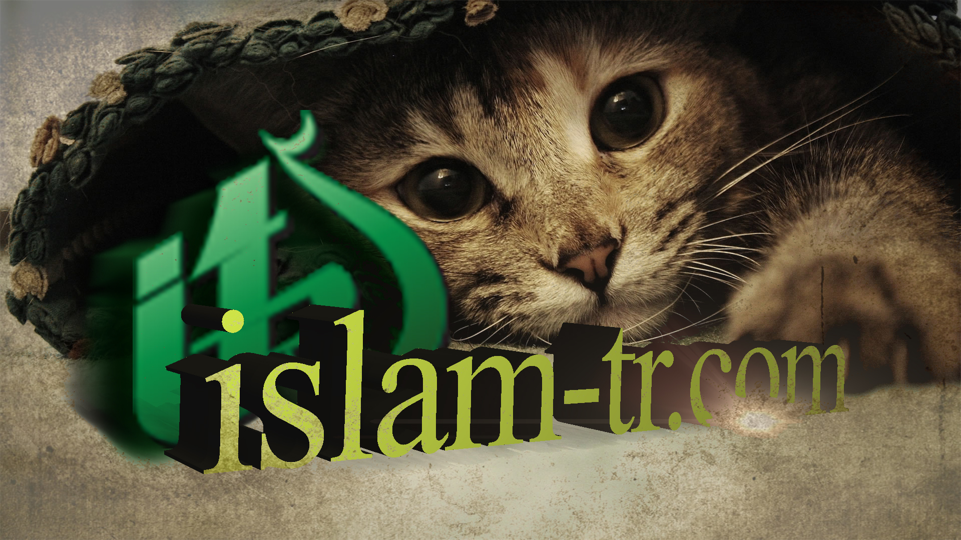 islam-tr.jpg