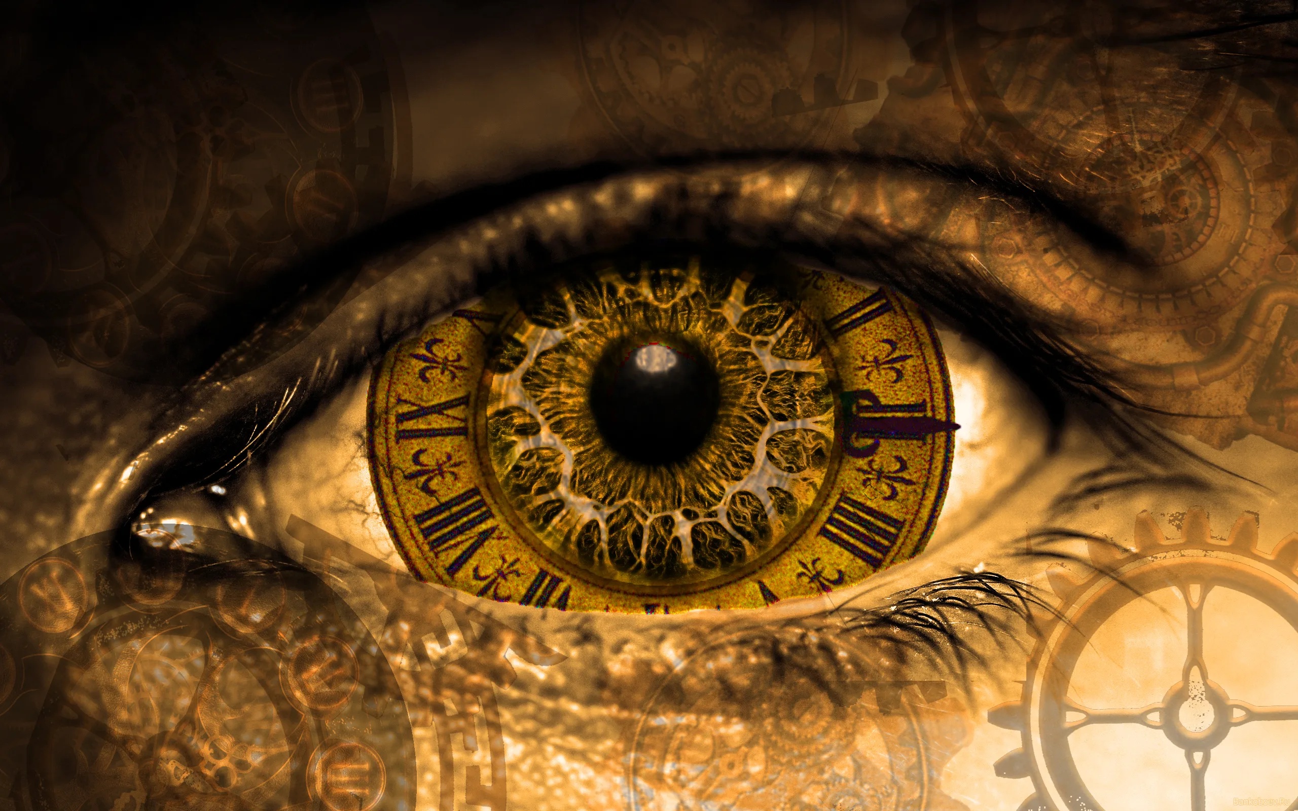 istockphoto-68672468wwww8-1024x1024.jpg