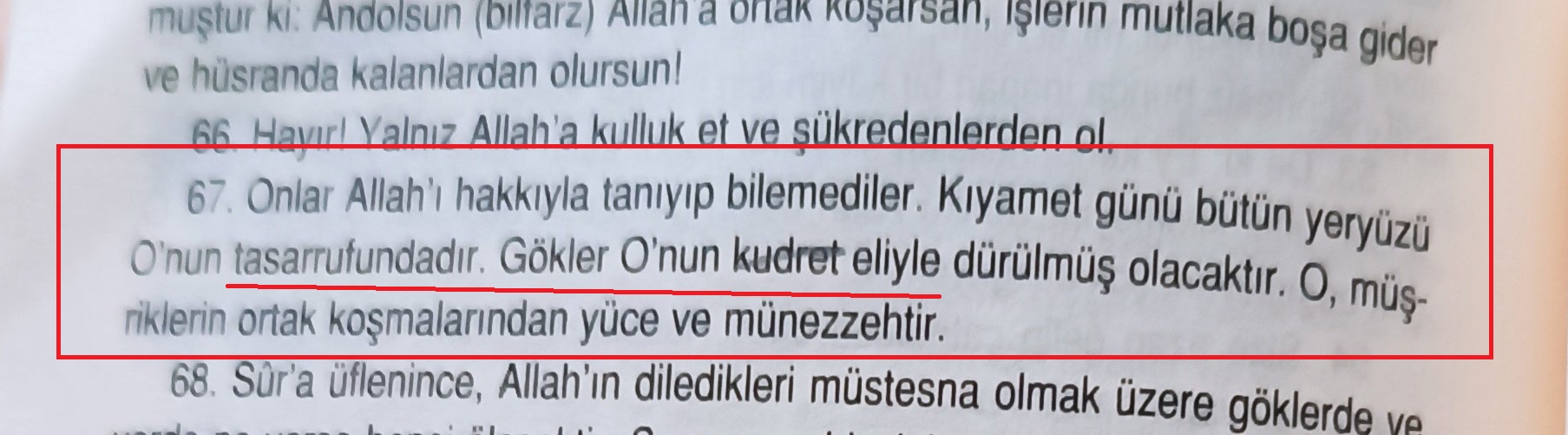 Zumer a1.jpg